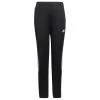 ADIDAS Girls Tiro Track Pants -Fit Style Shop 2074447 001 main