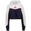 ADIDAS Women's Essentials Colorblock 3-Stripe Hoodie 1 ADIDAS Women's Essentials Colorblock 3-Stripe Hoodie -Fit Style Shop 2077980 402 main